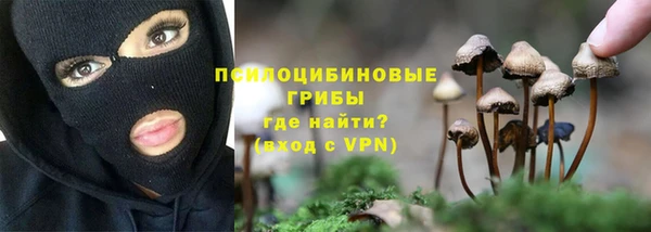 тгк Надым
