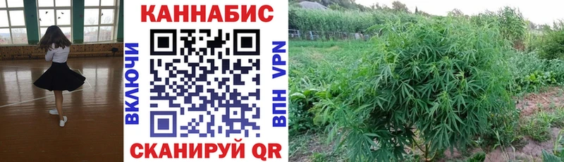 Купить  Лысково  Шишки марихуана OG Kush 